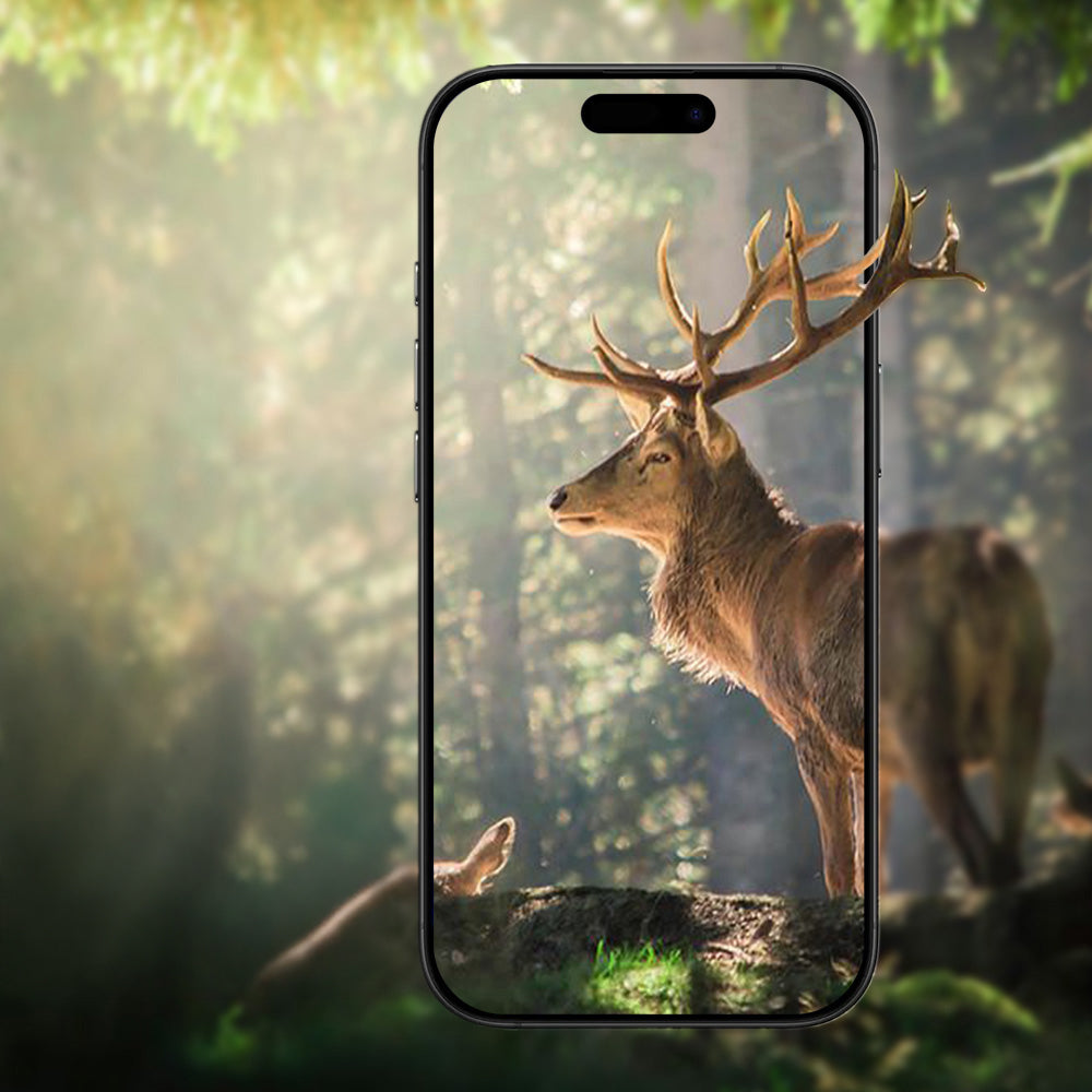 Apple iPhone 17 Air Zore Mikro Kamera Lens Koruyucu Gold