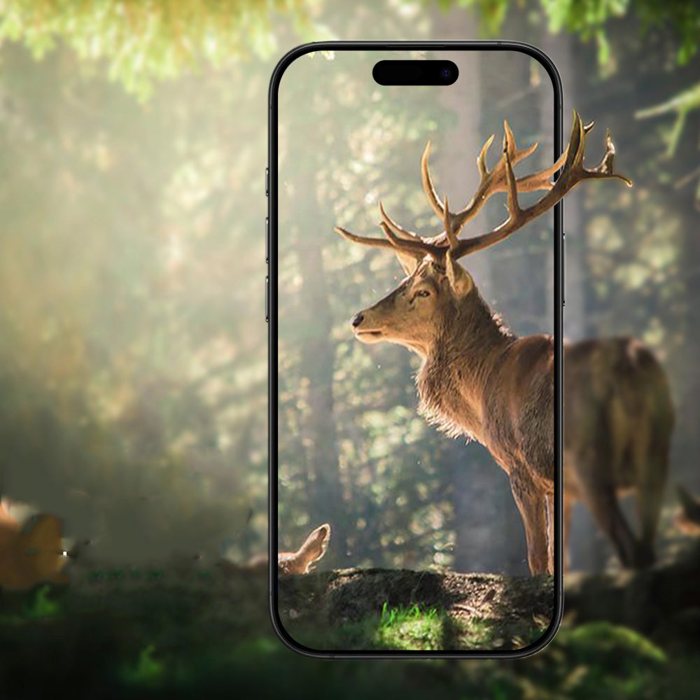 Apple iPhone 17 Pro Zore Mikro Kamera Lens Koruyucu Turuncu