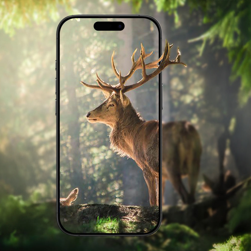 Apple iPhone 17 Zore Mikro Kamera Lens Koruyucu Açık Mor